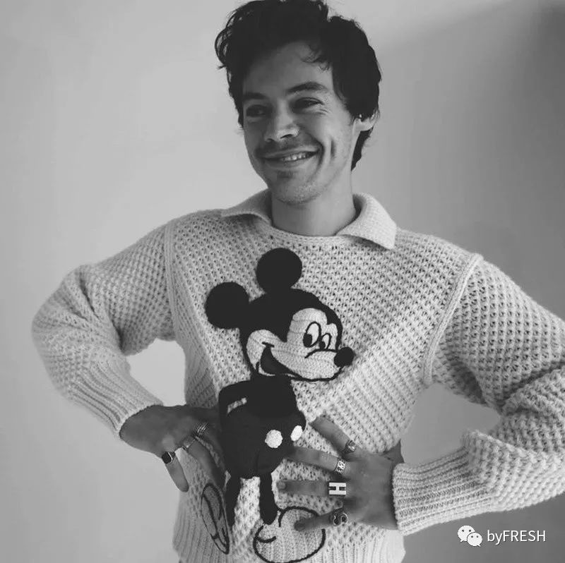 mouse和mickey什么意思,mickeymouse第四阶段