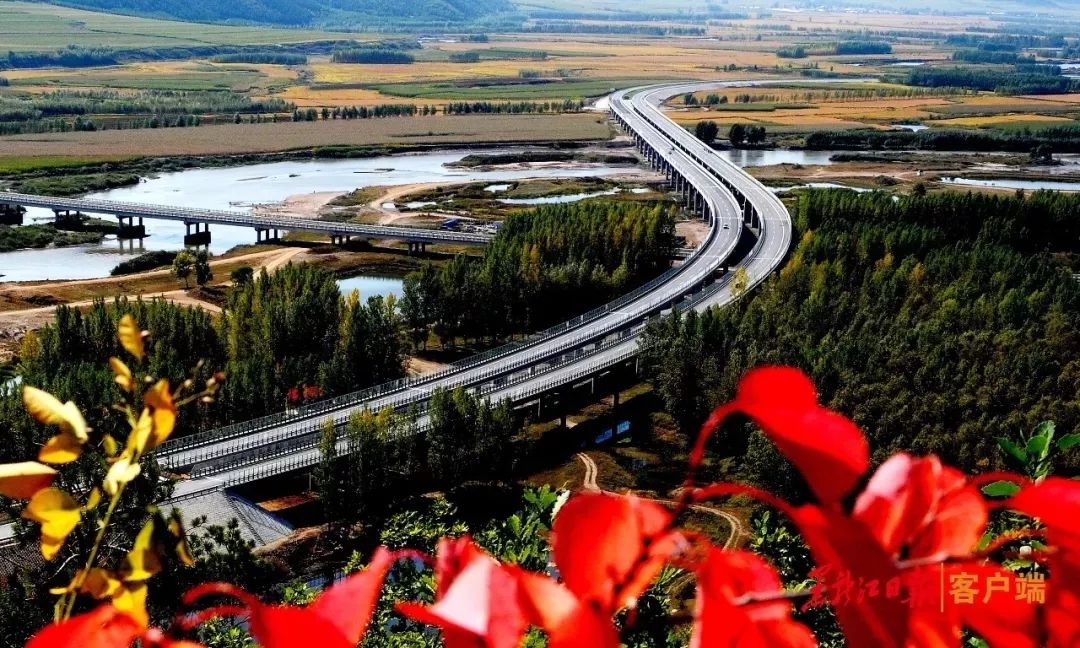 黑龙江省七大产业集团,黑龙江7大产业集团