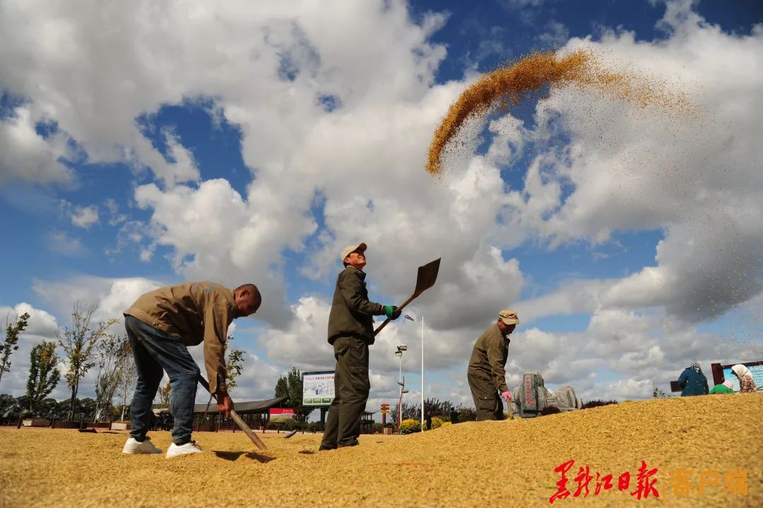 黑龙江省七大产业集团,黑龙江7大产业集团