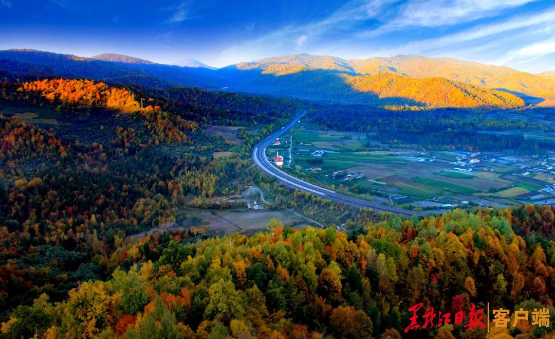 黑龙江省七大产业集团,黑龙江7大产业集团