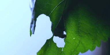 纯蚕丝被100%桑蚕丝保暖裤,蚕丝裤一条过冬