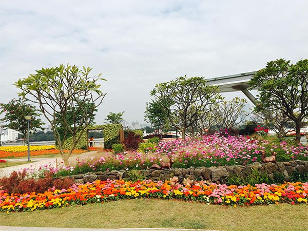 海珠区公园名单,广州公园排名前十名海珠湿地公园