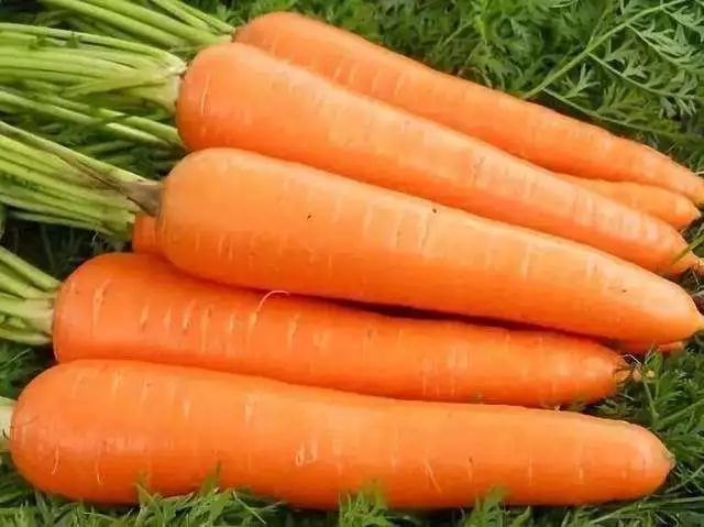 腊梅不是梅,腊梅不是梅花吗