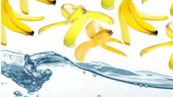 香蕉皮千万别扔，这几个妙用，能为你省下不少！安顺人收藏