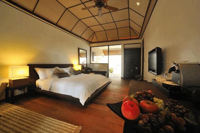 马尔代夫莉莉岛旅游攻略,马尔代夫莉莉岛玩什么