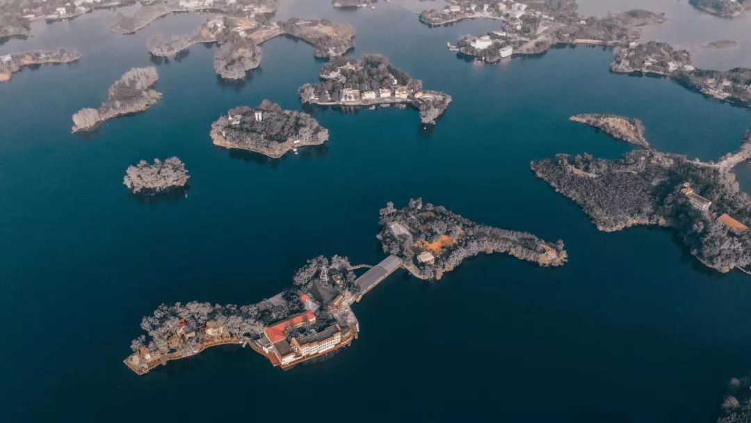 成都冷知识你不知道的华阳,成都冷知识有趣