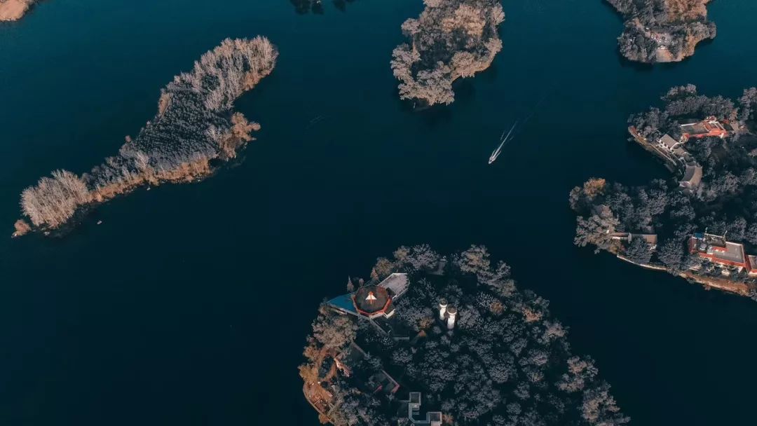 成都冷知识你不知道的华阳,成都冷知识有趣