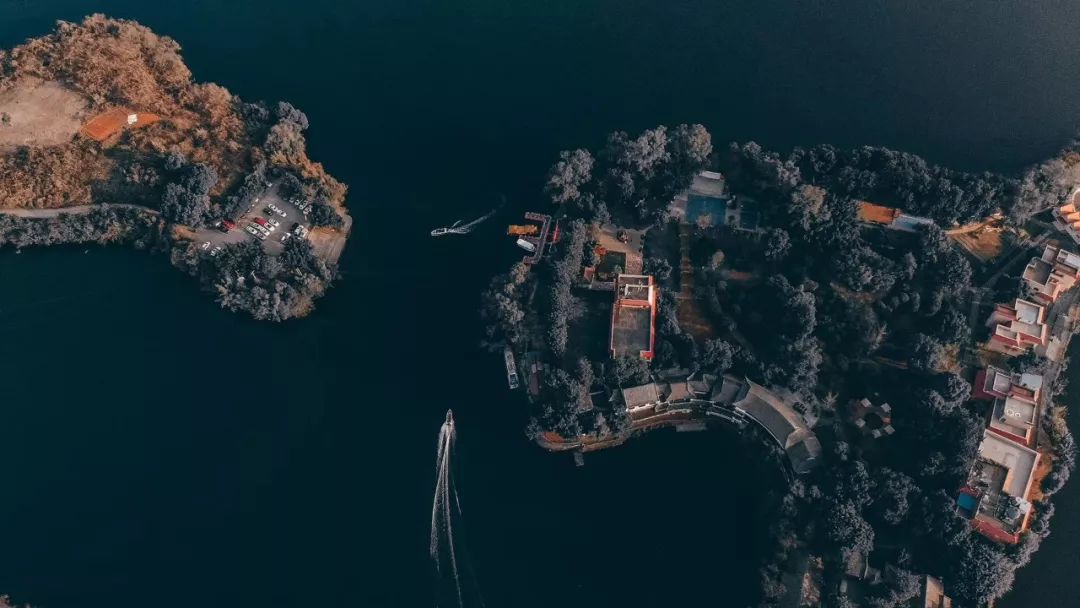 成都冷知识你不知道的华阳,成都冷知识有趣