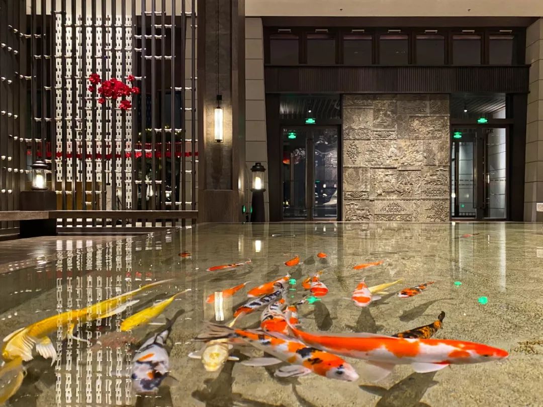 中国最美万豪酒店,中国最美酒店