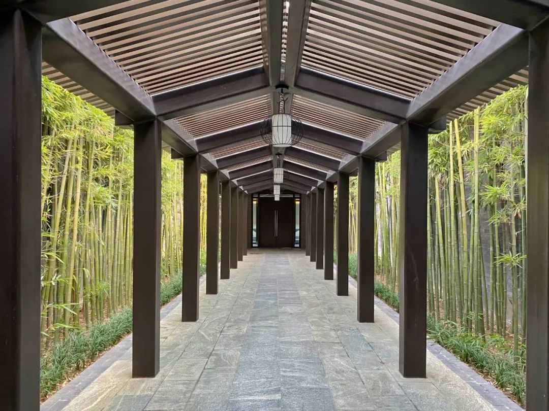 中国最美万豪酒店,中国最美酒店