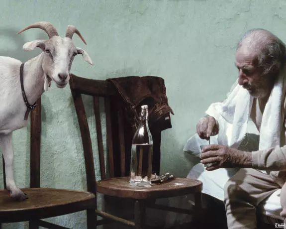 2022年最好的电影已上映的,2020年所有值得期待的电影