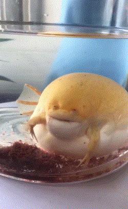 如何不尴尬地帮女朋友买卫生巾?骚操作太秀了