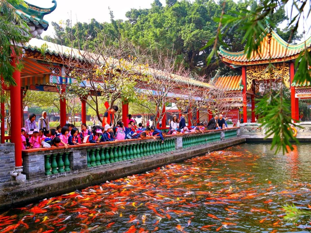 宝墨园醒狮表演,宝墨园醒狮舞龙