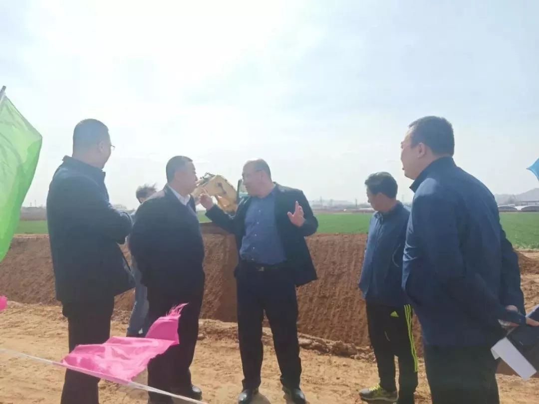 一路桃花为谁容齐陵农业再追梦