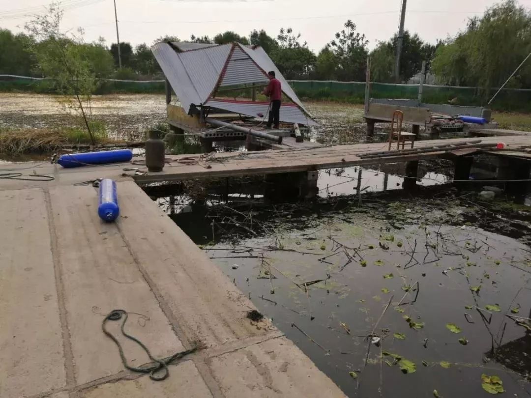 一路桃花为谁容齐陵农业再追梦