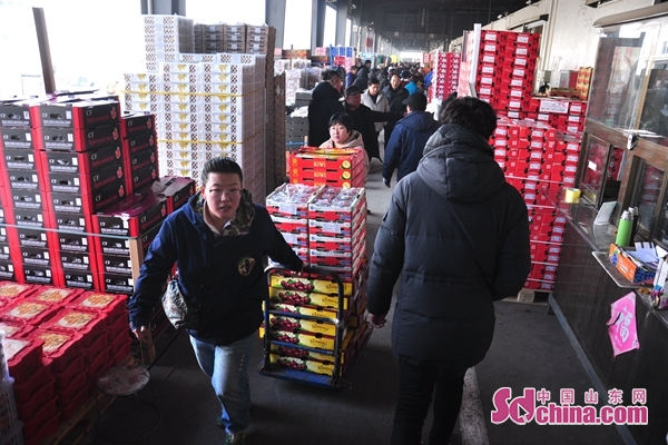 即墨鼎信车厘子行情,最近即墨东方鼎信水果行情