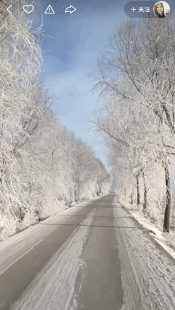 本来想去薅羊毛，却沉迷在这张“活的”地图上……