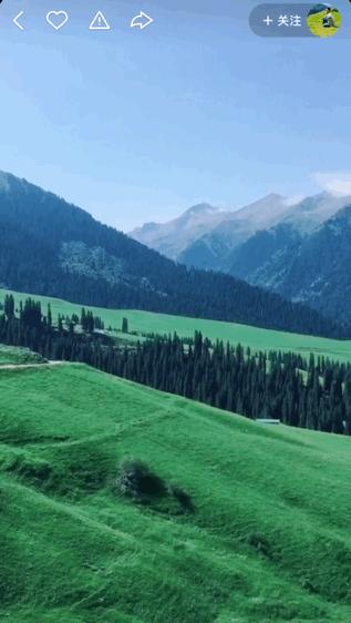 本来想去薅羊毛，却沉迷在这张“活的”地图上……