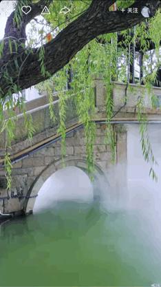 本来想去薅羊毛，却沉迷在这张“活的”地图上……