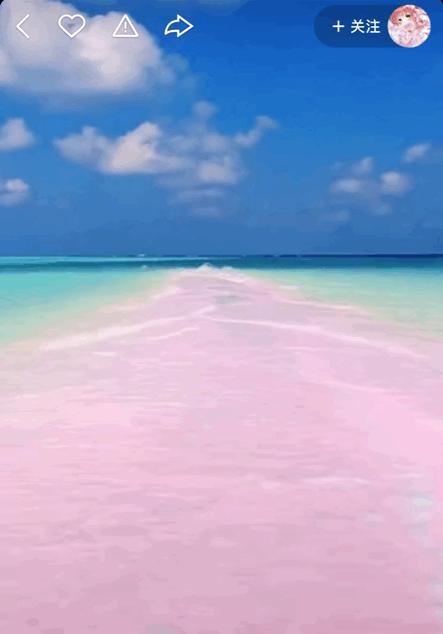 本来想去薅羊毛，却沉迷在这张“活的”地图上……