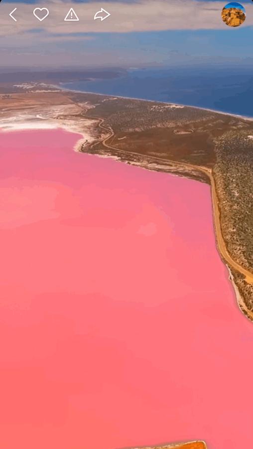 本来想去薅羊毛，却沉迷在这张“活的”地图上……