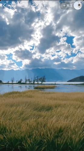 本来想去薅羊毛，却沉迷在这张“活的”地图上……