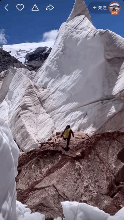 本来想去薅羊毛，却沉迷在这张“活的”地图上……