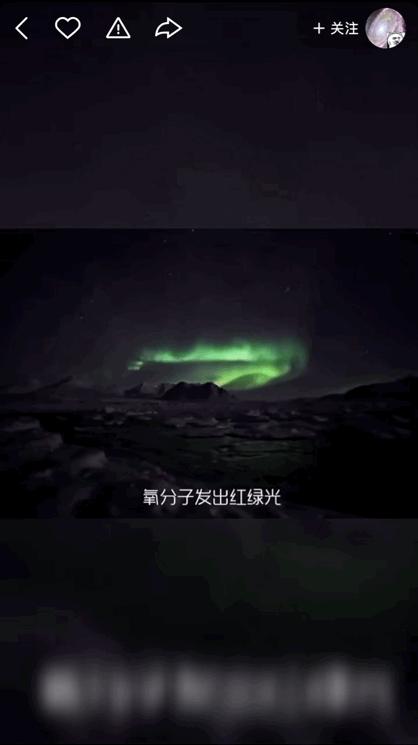 本来想去薅羊毛，却沉迷在这张“活的”地图上……