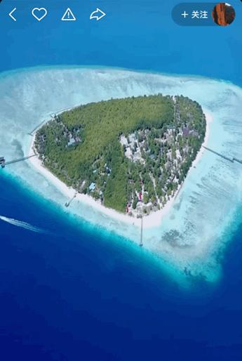 本来想去薅羊毛，却沉迷在这张“活的”地图上……