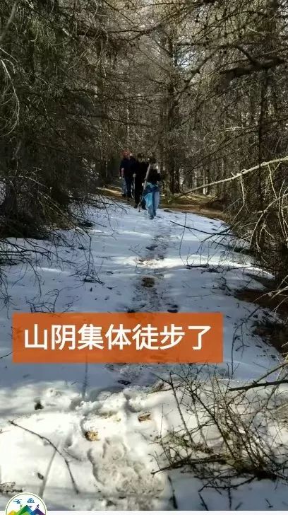 本来想去薅羊毛，却沉迷在这张“活的”地图上……