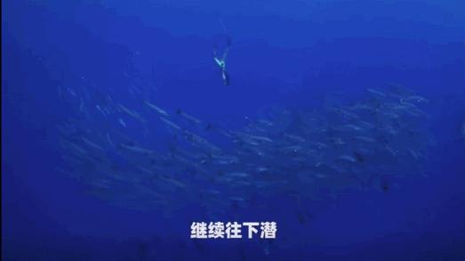 本来想去薅羊毛，却沉迷在这张“活的”地图上……