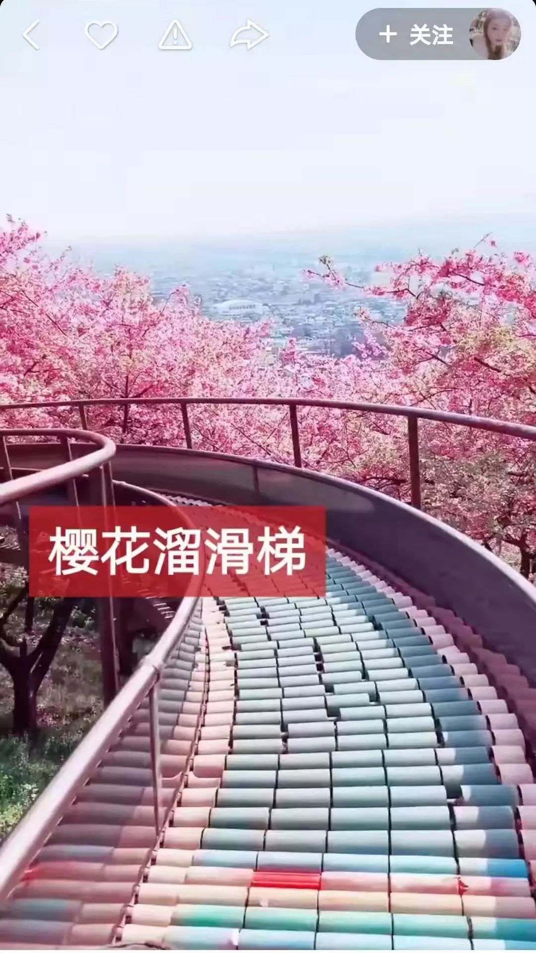 本来想去薅羊毛，却沉迷在这张“活的”地图上……