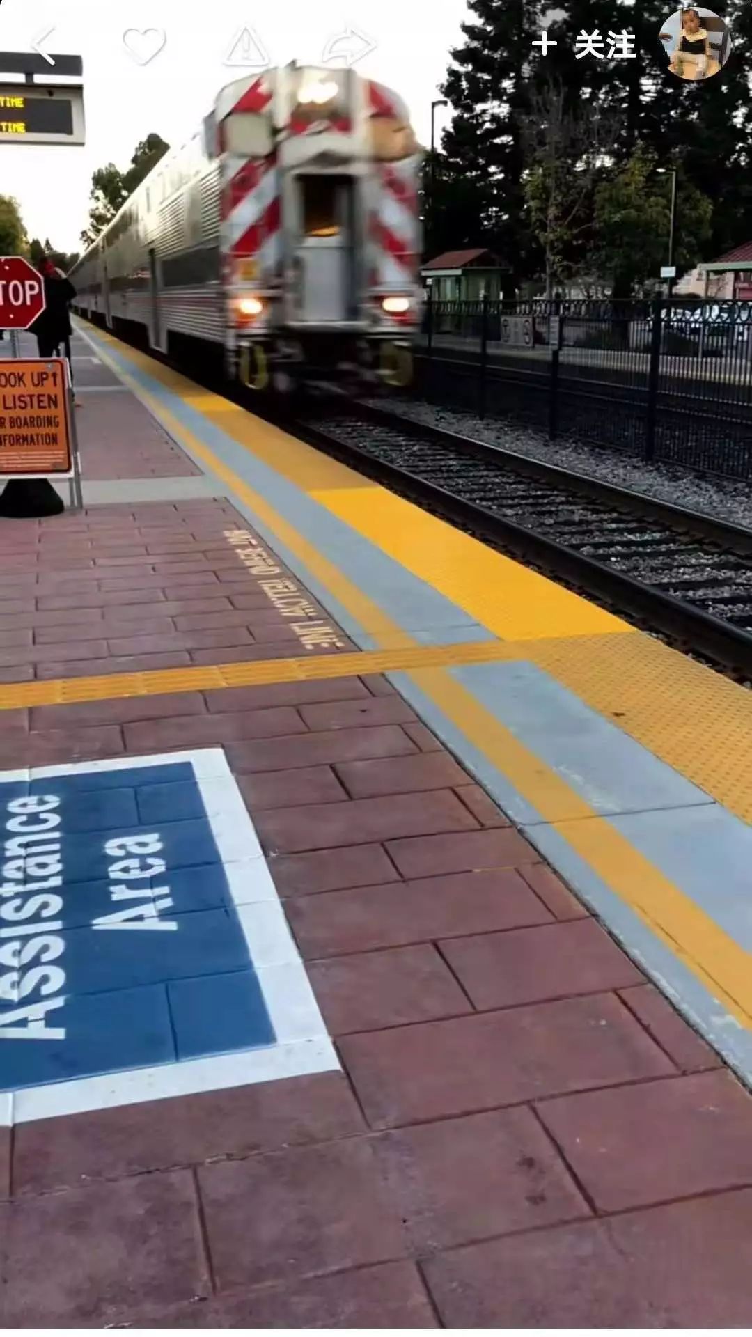 本来想去薅羊毛，却沉迷在这张“活的”地图上……