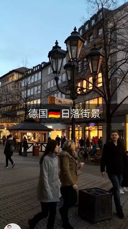 本来想去薅羊毛，却沉迷在这张“活的”地图上……