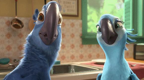 鹦鹉可爱，却会传病给人？看药事网和腾讯新闻怎么说