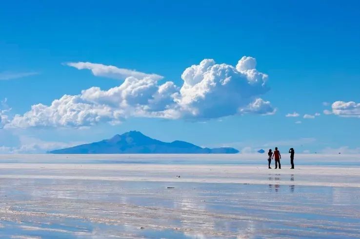 人工智能和人体解剖学的区别,机器人人工智能解决问题