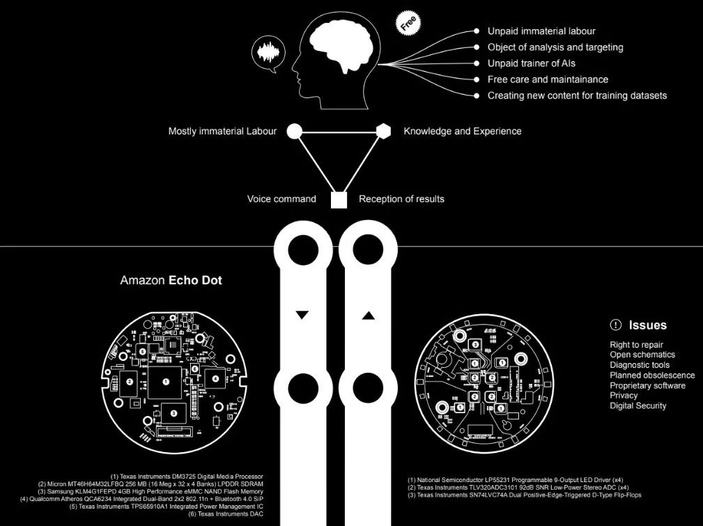 人工智能和人体解剖学的区别,机器人人工智能解决问题