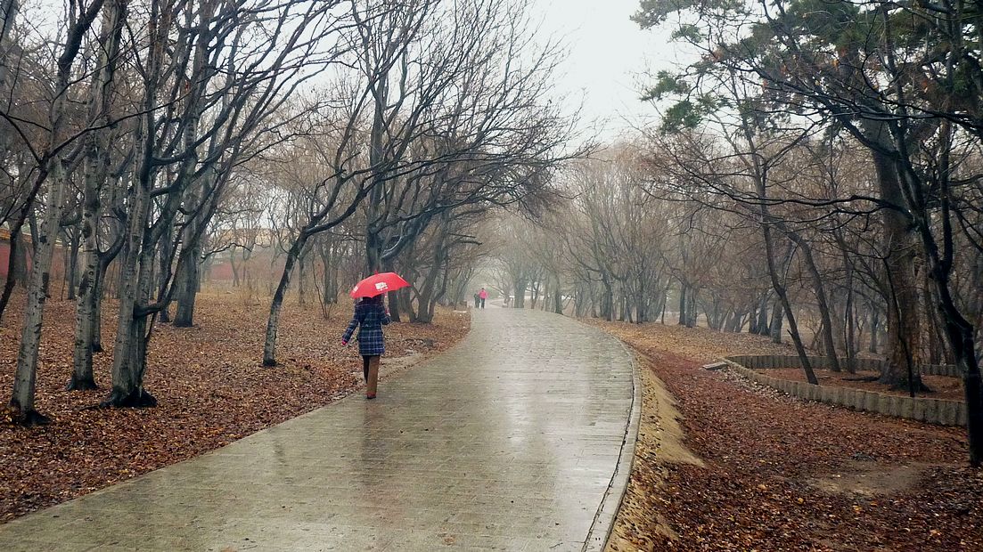 赤水天气旅游攻略,遵义赤水气温