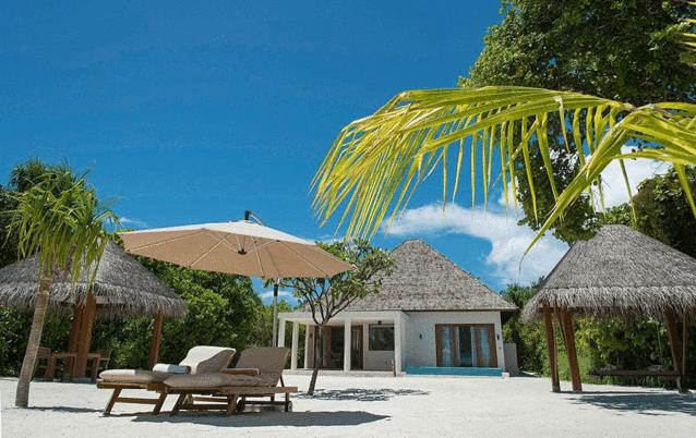 马尔代夫珊瑚岛旅游花费详解,马代神仙珊瑚岛完整版