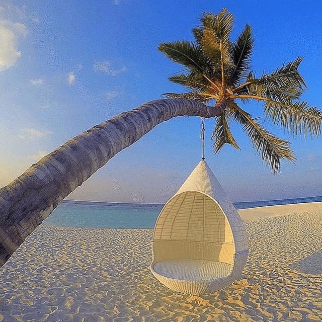 马尔代夫珊瑚岛旅游花费详解,马代神仙珊瑚岛完整版