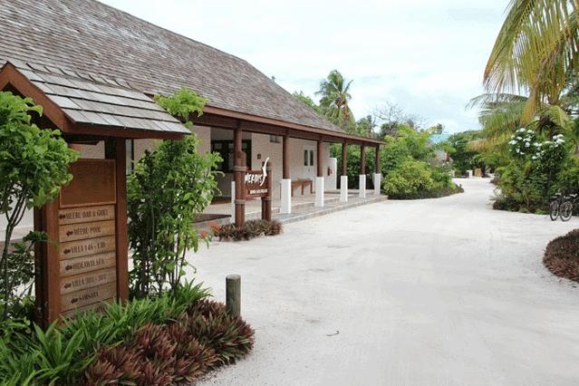 马尔代夫珊瑚岛旅游花费详解,马代神仙珊瑚岛完整版