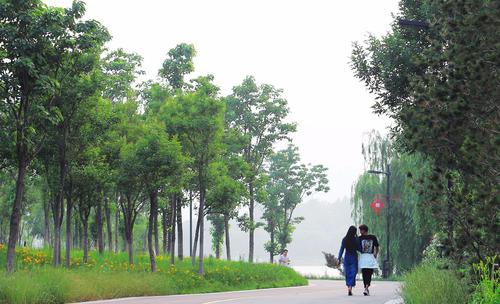 邢台清河天气怎么样,河北邢台清河县天气