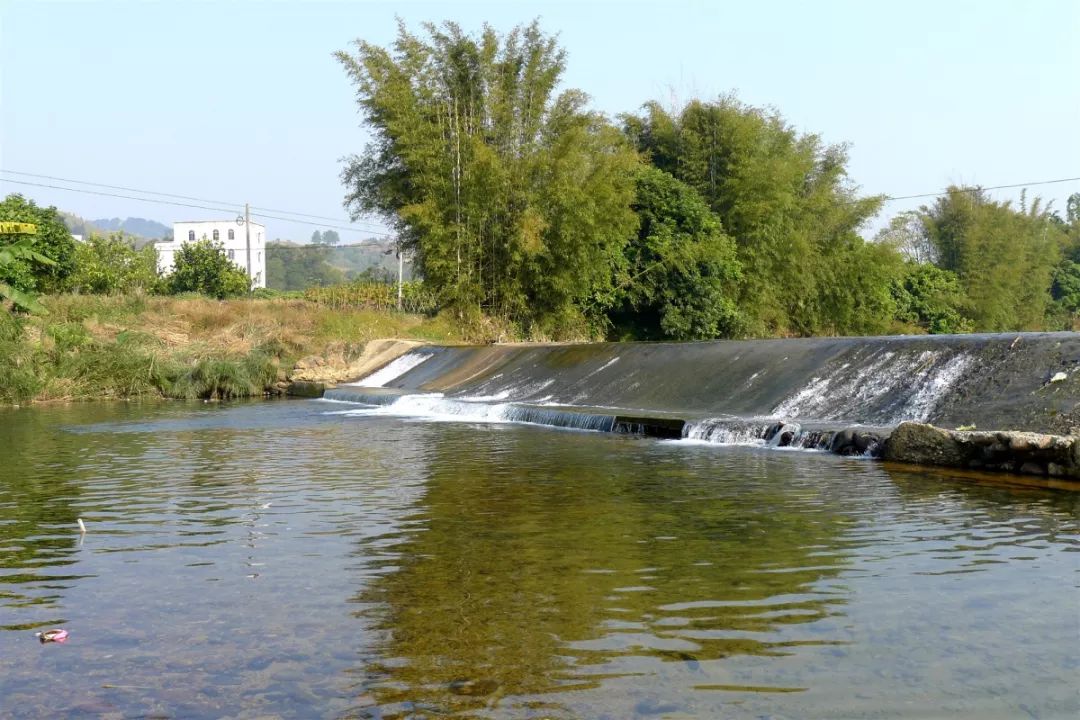 贵港市十大美丽乡村,广西贵港市美丽乡村排名