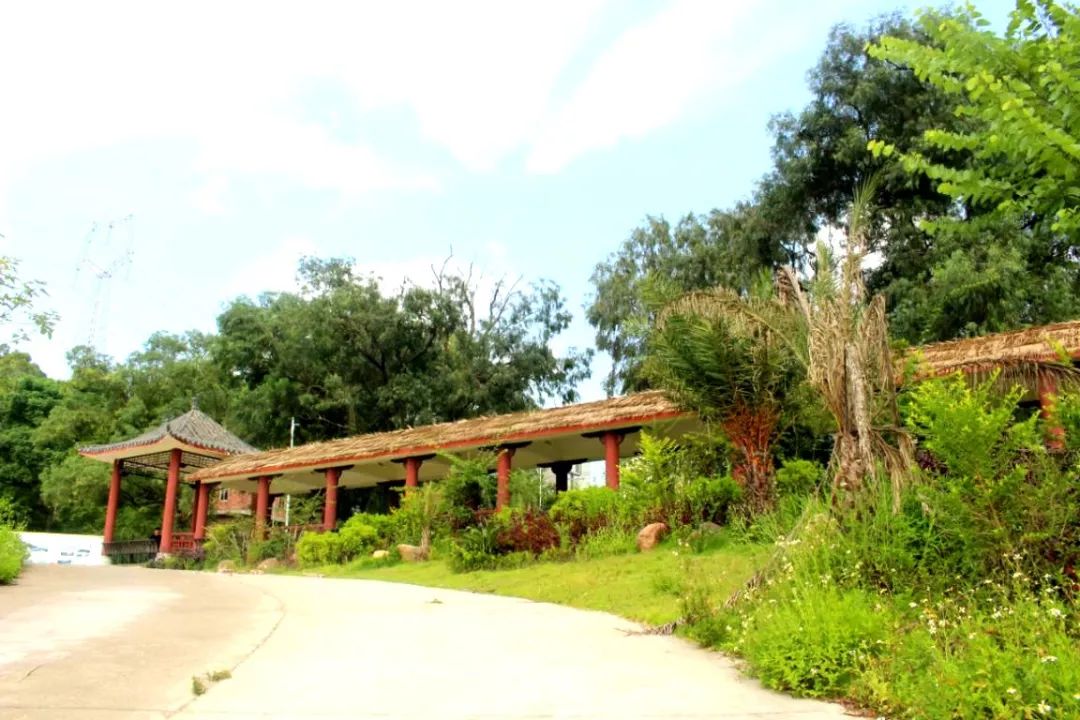 贵港市十大美丽乡村,广西贵港市美丽乡村排名