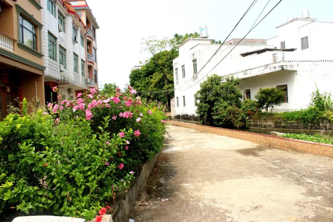 贵港市十大美丽乡村,广西贵港市美丽乡村排名