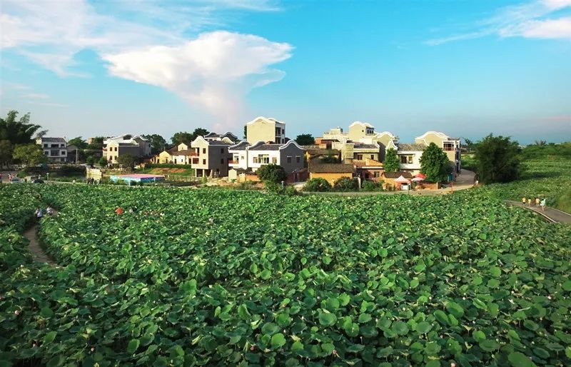 贵港市十大美丽乡村,广西贵港市美丽乡村排名