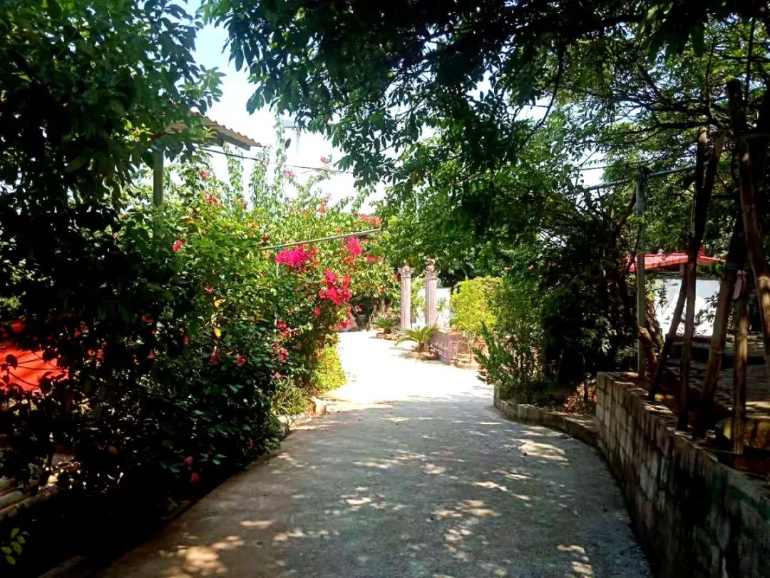 贵港市十大美丽乡村,广西贵港市美丽乡村排名