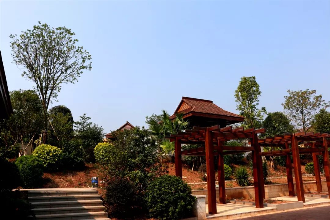 贵港市十大美丽乡村,广西贵港市美丽乡村排名