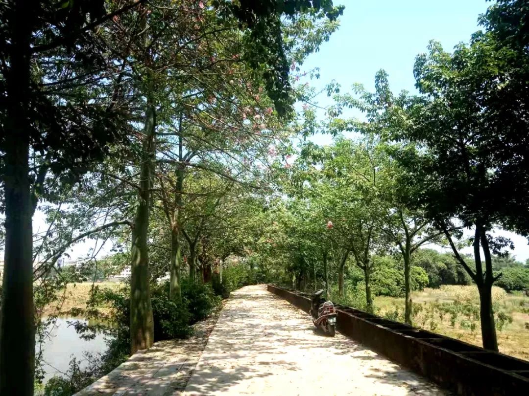 贵港市十大美丽乡村,广西贵港市美丽乡村排名