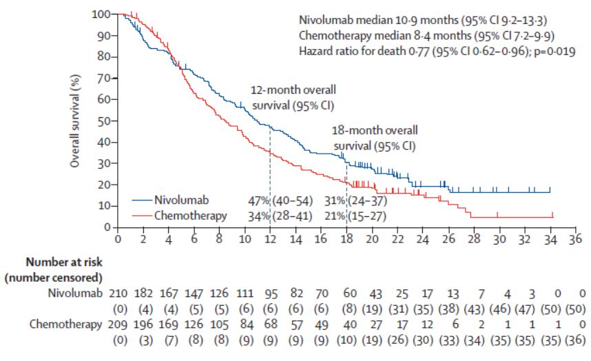 食管癌鳞癌最常用的化疗方案,研究速递